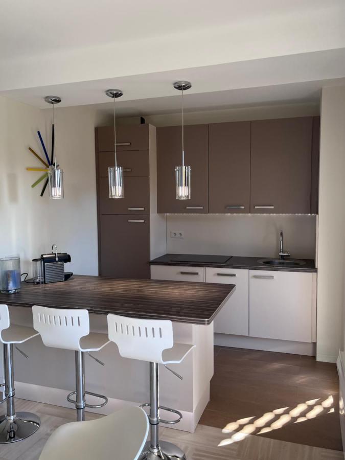 Appartement Avec Terrasse, Vue Jardin Et Piscine 昂蒂布 外观 照片